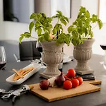 Apartament Bonnystay Und Entspannung Naehe Zentrum